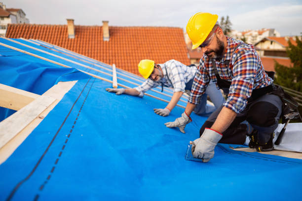 Best Chimney Flashing Repair  in Jerome, IL